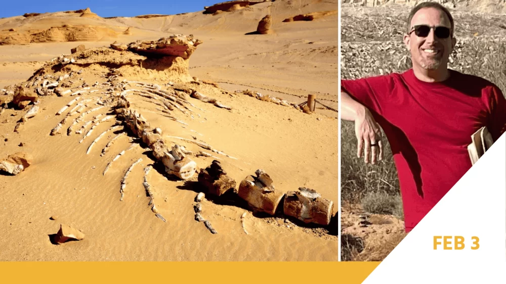 Voyager Mass Extinction Datecard (2)